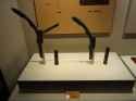 Bronze_Halberds_in_Xuzhou_Museum_2013-01