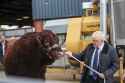 Boris_Johnson_pulling_a_bull_in_Aberdeen