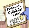 Stupid nigger award