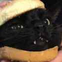 catburger