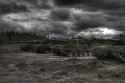 k_leopards_dark