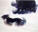 dynamism-of-a-dog-on-a-leash-1912-181002741