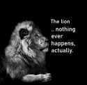 lion_nothing_happens