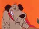lol dog