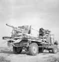 Brits in North_Africa_1942 57mm portee