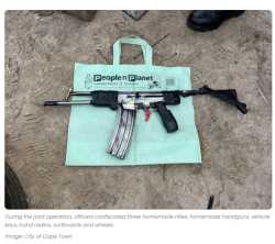 cape town zip gun