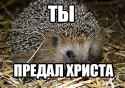 you