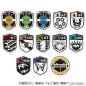 wt patches