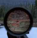 scope