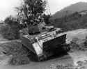 M113 ACAV