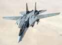 US_Navy_051105-F-5480T-005_An_F-14D_Tomcat_conducts_a_mission_over_the_Persian_Gulf-region