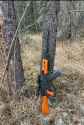 T81M innawoods