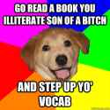 advice dog illiterate