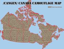 camouflage map