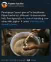 why is india so disgusting