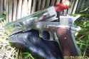 shotgun-1911-from-thailand