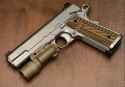 Dan Wesson Specialist X300