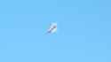 pas25-flights-01