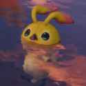rappy_swim