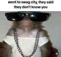 swagggg