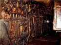 kuznetsov_evolved_hungry
