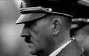 dolf