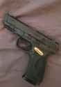 Gun