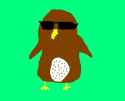 cool owl