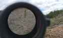 ACOG_quartermile