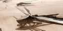 ornithopter-dune-cropped