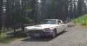Paul_Driveby