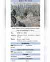 Combat-Beaver_Battle-of-the-Trench-828x1024