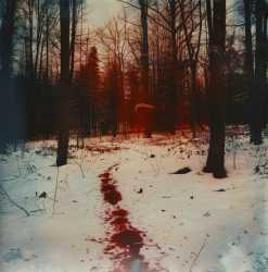 bleed-out-in-the-slow