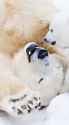 cropped-shutterstock_396707635-390x700