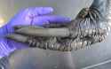 Zf4ak6EUXkUryghrQceZ9D-1200-80