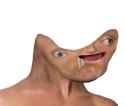 3dpd_brainlet