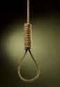 noose 1