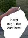 491 KB