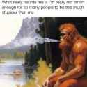 49 KB