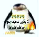 130 KB