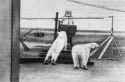 rtg polar bears.jpg