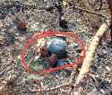 166 KB