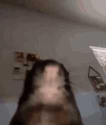 173 KB