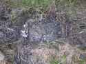 386 KB