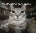 19 KB