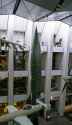 482 KB