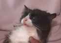 Rule 34 Rule 34 Image