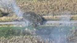 Porcupine tank kino