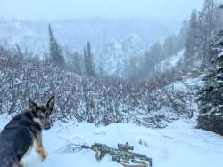 /arg/ ass-salt rifle general