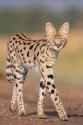 122 KB